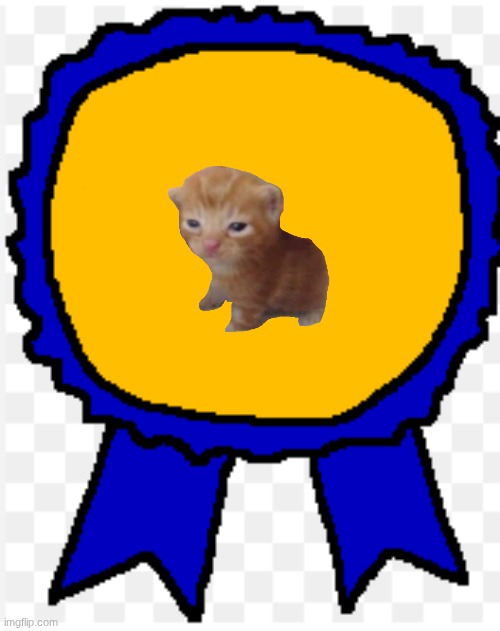 soyjak award | image tagged in soyjak award | made w/ Imgflip meme maker