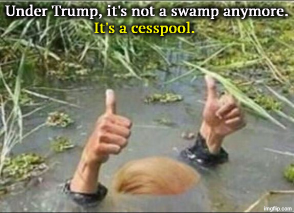 Go drain yourself. | Under Trump, it's not a swamp anymore. It's a cesspool. | image tagged in trump swamp creature,trump,drain the swamp,drain the swamp trump,cesspool,corruption | made w/ Imgflip meme maker