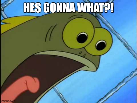 You what?! | HES GONNA WHAt?! | image tagged in you what | made w/ Imgflip meme maker