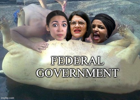 Federal Government | made w/ Imgflip meme maker