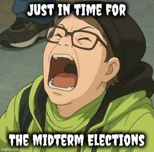Just in time for The Midterm Elections | image tagged in looney toons liberals | made w/ Imgflip meme maker