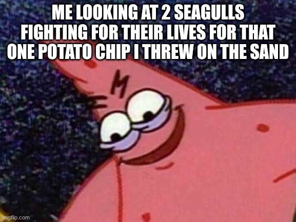 Best thing to do in a beach | Me looking at 2 seagulls fighting for their lives for that one potato chip i threw on the sand | image tagged in patrick looking down,yall try it out,meme,seagulls,idk what else to write | made w/ Imgflip meme maker