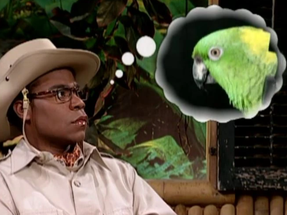 Brian Fellows Bird Blank Meme Template