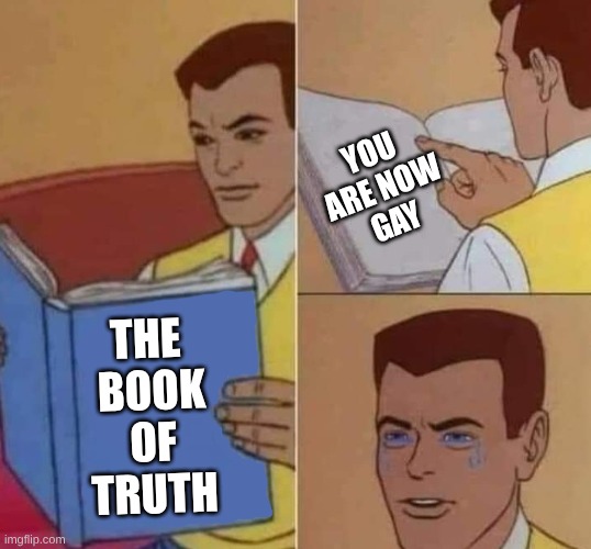 why | you are now
gay; the 
book of
truth | image tagged in peter parker reading book crying | made w/ Imgflip meme maker