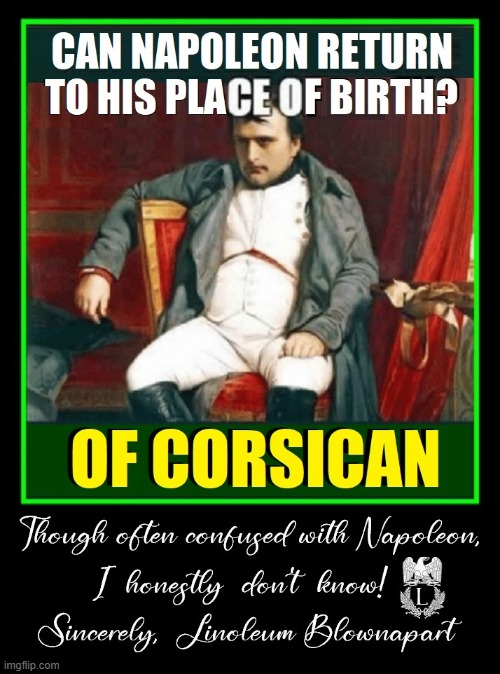 A Delight for History Buffs ONLY | image tagged in vince vance,history memes,napoleon,napoleon bonaparte,linoleum | made w/ Imgflip meme maker