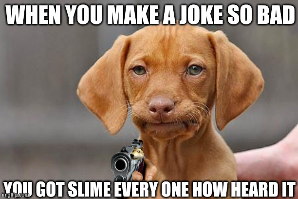 bro why | when you make a joke so bad; you got slime every one how heard it | image tagged in dissapointed puppy | made w/ Imgflip meme maker