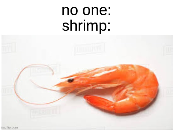 idk why I made this | no one:
shrimp: | image tagged in memes,shrimp,why are you reading the tags,fish | made w/ Imgflip meme maker