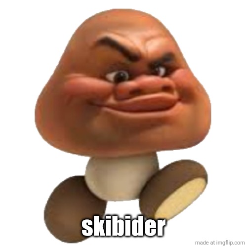 Maui Goomba | skibider | image tagged in maui goomba | made w/ Imgflip meme maker