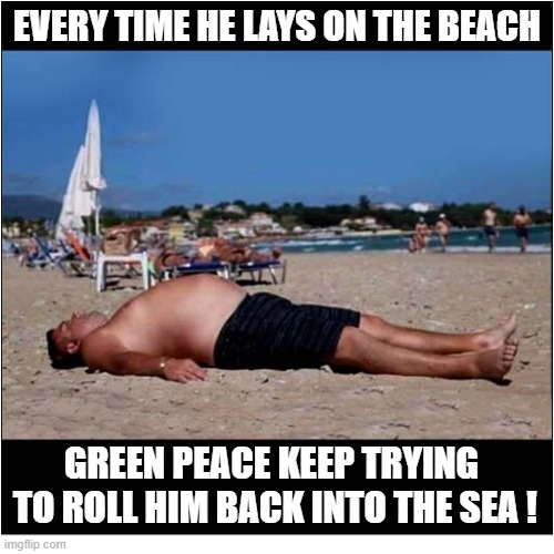 Urgent Assistance Required ! | Every Time He Lays On The Beach; green peace keep trying
 to roll him back into the sea ! | image tagged in beach,whale,fattie | made w/ Imgflip meme maker