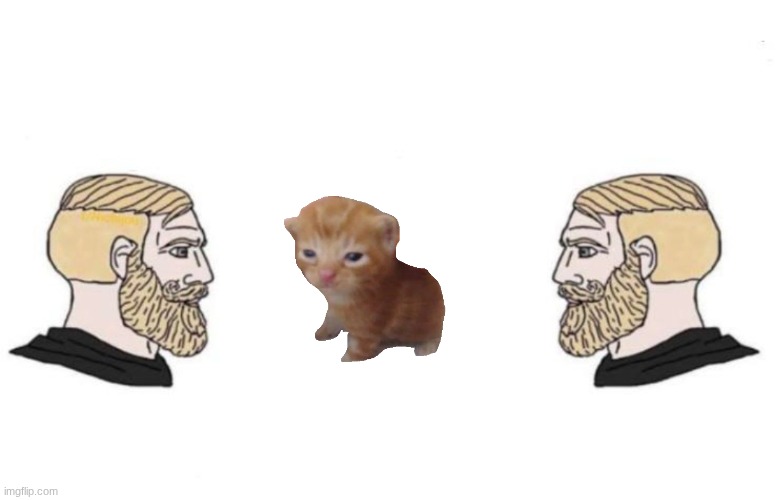Double Yes Chad | image tagged in double yes chad | made w/ Imgflip meme maker
