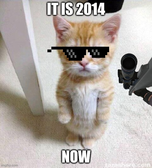 2014 | it is 2014; now | image tagged in memes,cute cat | made w/ Imgflip meme maker