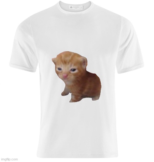 White t-shirt | image tagged in white t-shirt | made w/ Imgflip meme maker