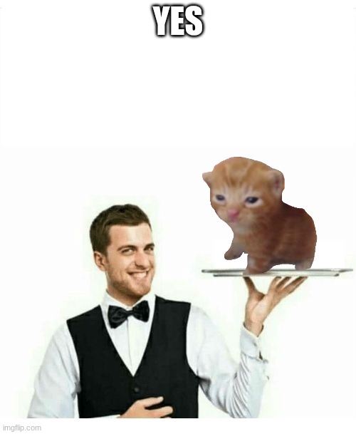 waiter | yes | image tagged in waiter | made w/ Imgflip meme maker