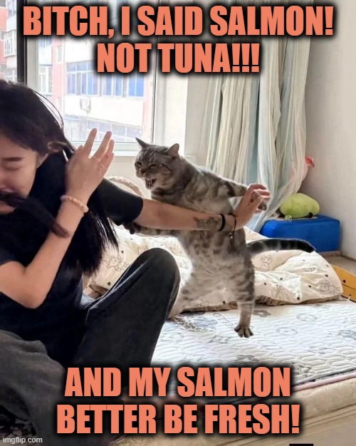 Bitch, I said Salmon!
Not tuna!!! And my salmon better be fresh! | image tagged in cat,violence | made w/ Imgflip meme maker