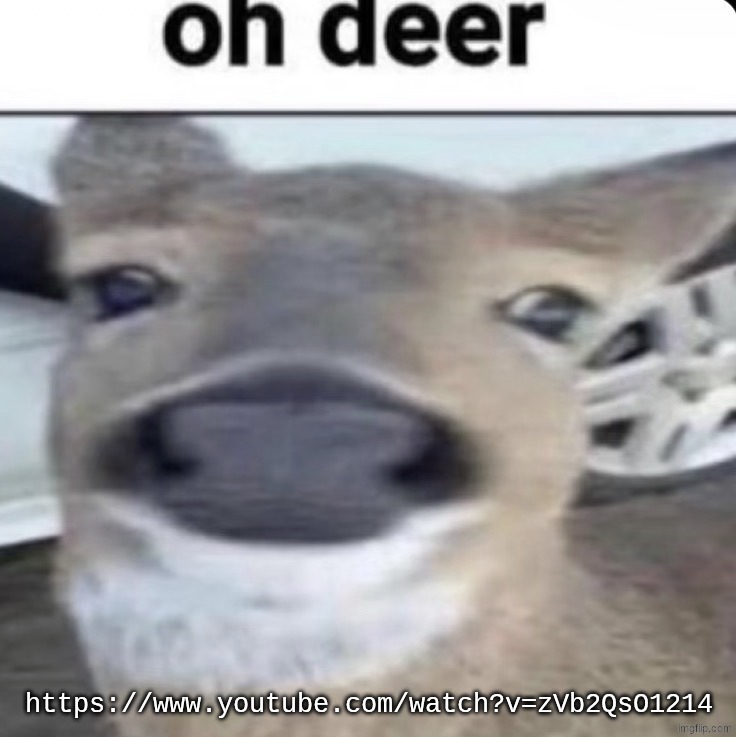 Oh Deer | https://www.youtube.com/watch?v=zVb2QsO1214 | image tagged in oh deer | made w/ Imgflip meme maker