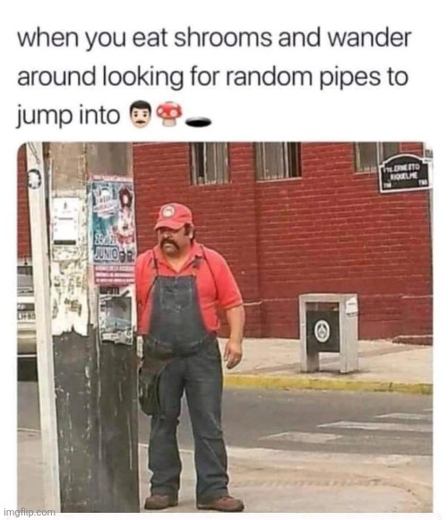 Mario irl | image tagged in mario,in real life,eating,mushrooms,jumping,pipe | made w/ Imgflip meme maker