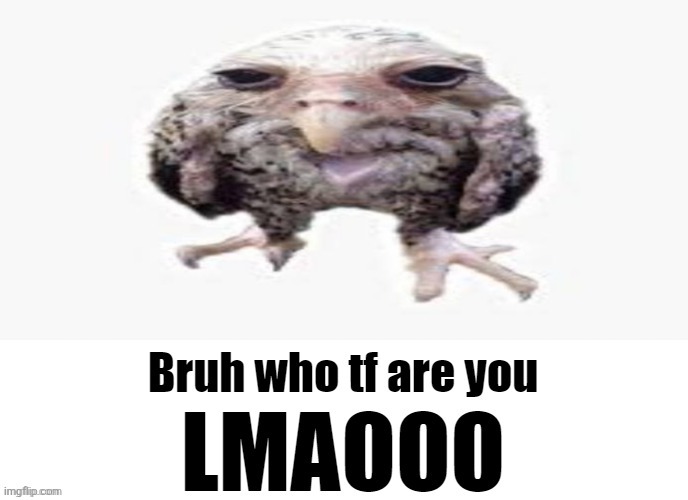Bruh who tf are you LMAOOO | image tagged in bruh who tf are you lmaooo | made w/ Imgflip meme maker