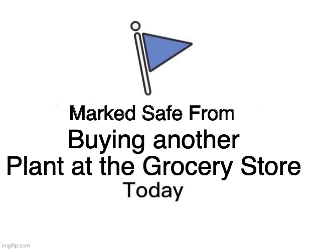 Grocery store plants? In this economy? | Buying another Plant at the Grocery Store | image tagged in memes,marked safe from,plants,gardening | made w/ Imgflip meme maker