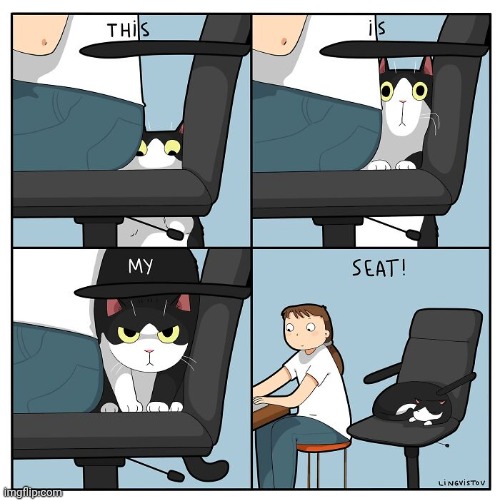 My seat now | image tagged in cats,cat,seat,chair,chairs,comics | made w/ Imgflip meme maker