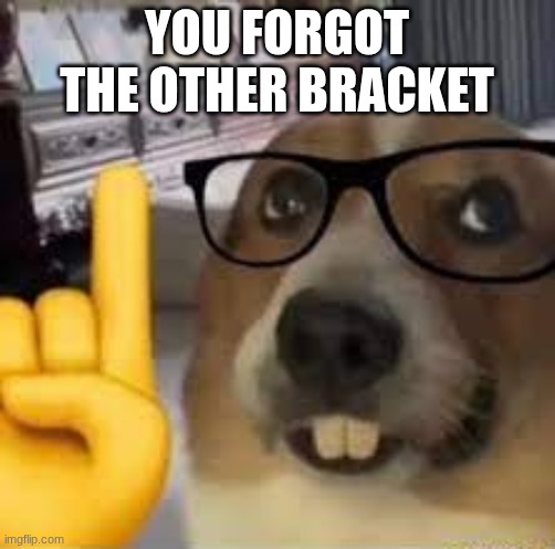 nerd dog | you forgot the other bracket | image tagged in nerd dog | made w/ Imgflip meme maker