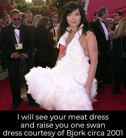 I will see your meat dress and raise you one swan dress courtesy of Bjork circa 2001 | made w/ Imgflip meme maker
