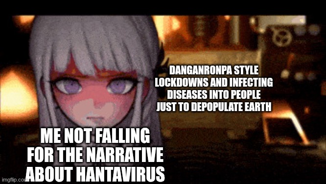 I will not fall for hantavirus narratives! | Danganronpa style lockdowns and infecting diseases into people just to depopulate earth; me not falling for the narrative about hantavirus | image tagged in danganronpa kyoko kirigiri | made w/ Imgflip meme maker