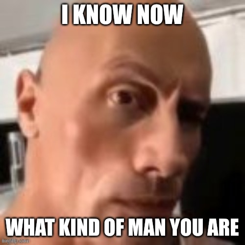 I know now what kind of man you are | image tagged in rock raising eyebrow | made w/ Imgflip meme maker