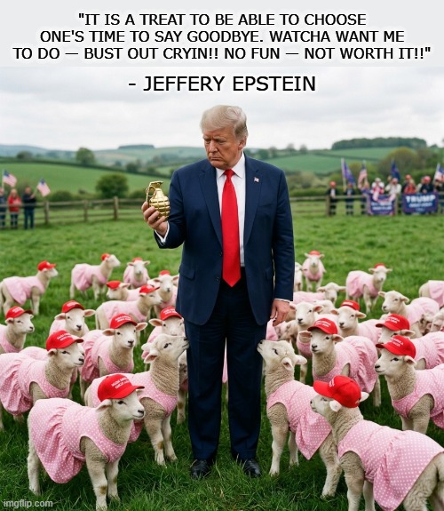 What did AOC say? | "It is a treat to be able to choose one's time to say goodbye. Watcha want me to do — Bust out cryin!! NO FUN — NOT WORTH IT!!"; - JEFFERY EPSTEIN | image tagged in donald trump,melania trump,jeffrey epstein,epstein,maga,political meme | made w/ Imgflip meme maker