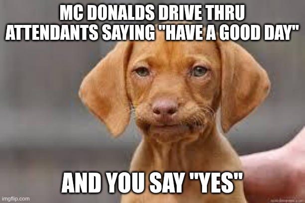 Ba ba ba ba ba. I'm dissapointed | mc donalds drive thru attendants saying "have a good day"; and you say "yes" | image tagged in disappointed dog | made w/ Imgflip meme maker