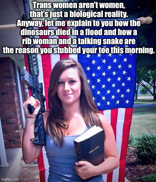 It all sounds kinda silly when you put it that way. | Trans women aren’t women, that’s just a biological reality. Anyway, let me explain to you how the dinosaurs died in a flood and how a rib woman and a talking snake are the reason you stubbed your toe this morning. | image tagged in evangelical christian woman,transgender,religion,christianity | made w/ Imgflip meme maker