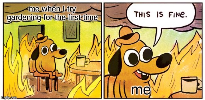 This Is Fine | me when I try gardening for the first time; me | image tagged in memes,this is fine | made w/ Imgflip meme maker