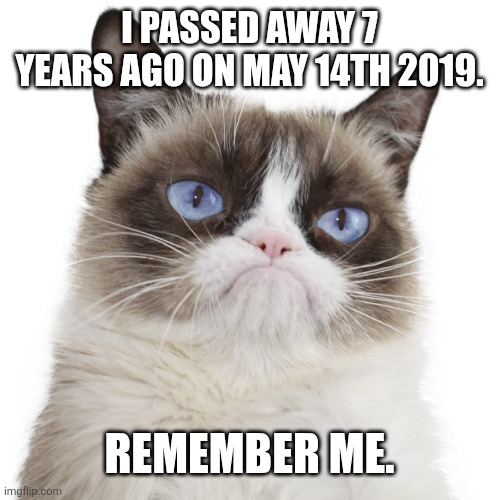 Tardar Sauce | I passed away 7 years ago on May 14th 2019. Remember me. | image tagged in tardar sauce | made w/ Imgflip meme maker