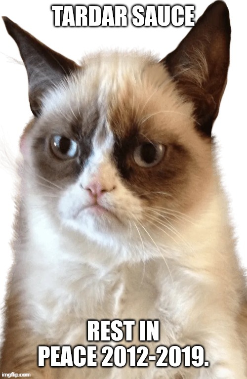 Grumpy Cat | Tardar sauce; Rest in peace 2012-2019. | image tagged in grumpy cat | made w/ Imgflip meme maker