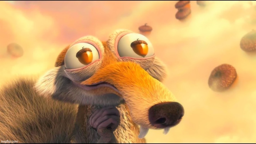 scrat loves acorn | image tagged in scrat loves acorn | made w/ Imgflip meme maker