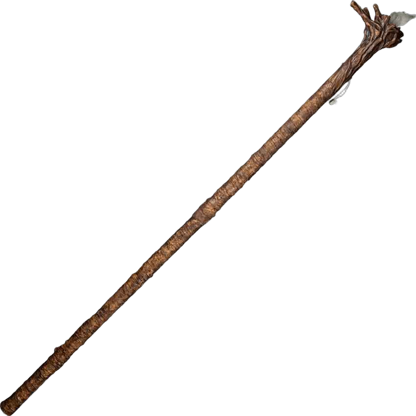 wizard staff Blank Meme Template