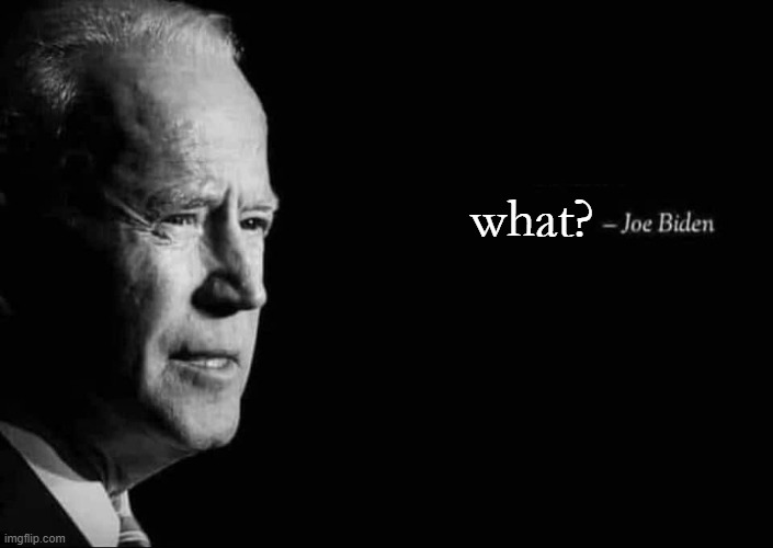 Joe Biden Quote | what? | image tagged in joe biden quote | made w/ Imgflip meme maker