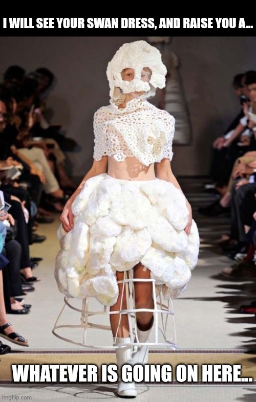 I will see your swan dress, and raise you a... Whatever is going on here... | made w/ Imgflip meme maker