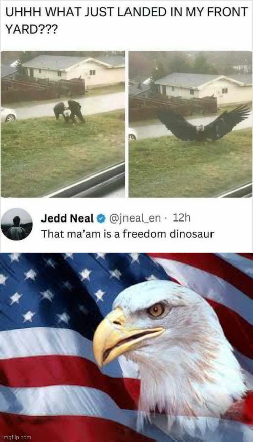 Freedom Dinosaur | image tagged in bald eagle flag geopolitics oil lithium cobalt freedom need reso | made w/ Imgflip meme maker