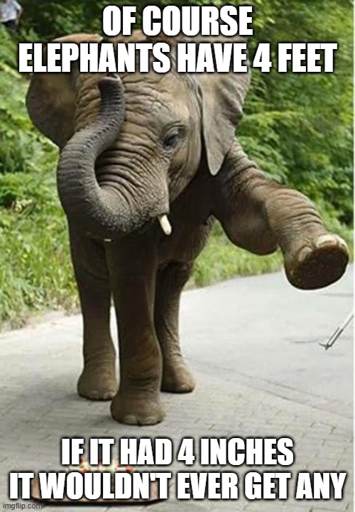 Elephants are Big | Of course elephants have 4 feet; If it had 4 inches it wouldn't ever get any | image tagged in baby elephant birthday | made w/ Imgflip meme maker