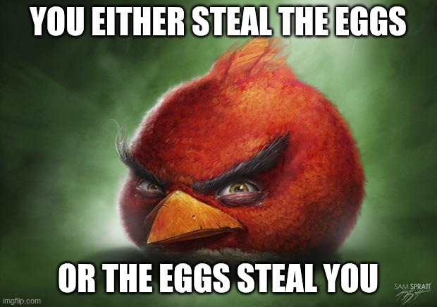 Realistic Angry Birds Red | you either steal the eggs; or the eggs steal you | image tagged in realistic angry birds red | made w/ Imgflip meme maker