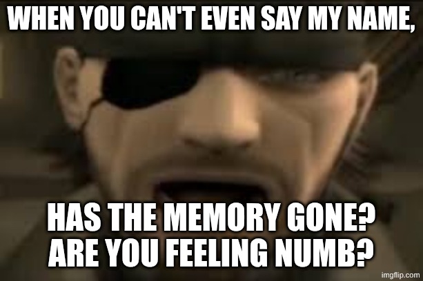 rahhhhh | When you can't even say my name, Has the memory gone? are you feeling numb? | image tagged in naked snake scream | made w/ Imgflip meme maker