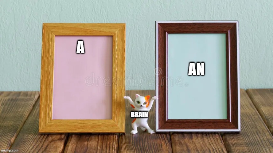 CHOOSE. | An; A; Brain | image tagged in choose,use this | made w/ Imgflip meme maker