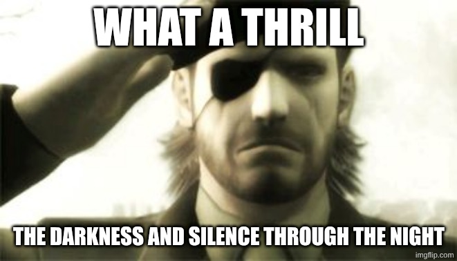 the real ones will know | what a thrill; the darkness and silence through the night | image tagged in big boss salute,gaming,metal gear solid | made w/ Imgflip meme maker