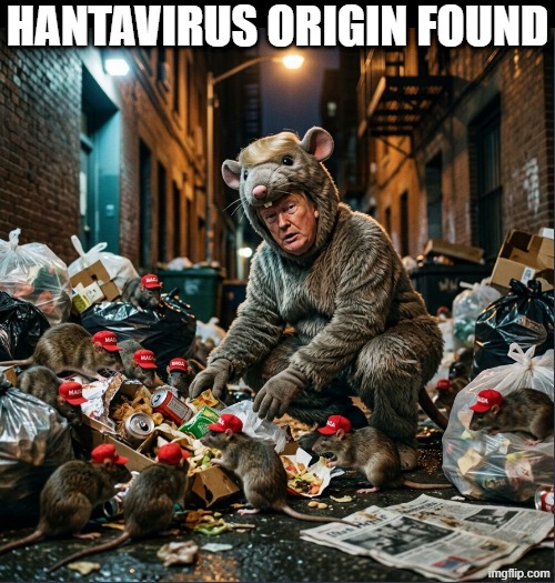 HANTAVIRUS ORIGIN FOUND | made w/ Imgflip meme maker