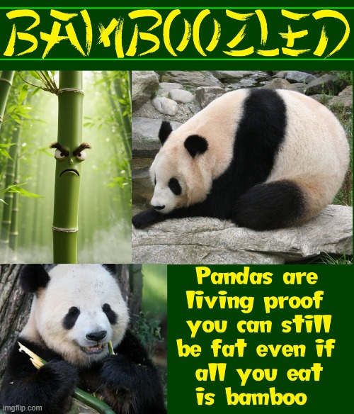 image tagged in bamboo 01 jpg | made w/ Imgflip meme maker