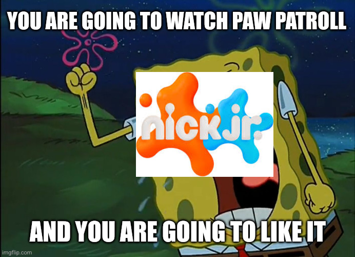 its true thi | You are going to watch paw patroll; And you are going to like it | image tagged in you are gonna like it | made w/ Imgflip meme maker