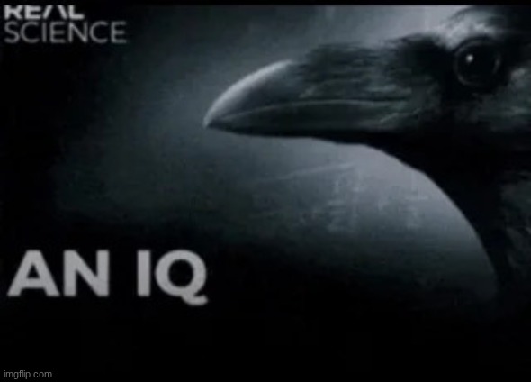 An IQ | image tagged in an iq | made w/ Imgflip meme maker