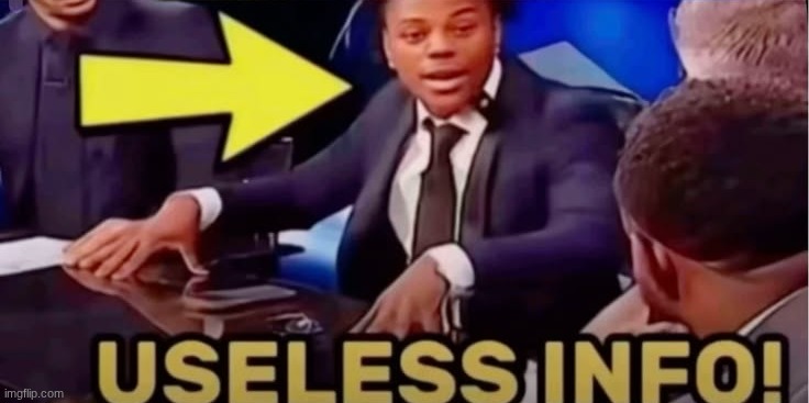 useless info | image tagged in useless info | made w/ Imgflip meme maker