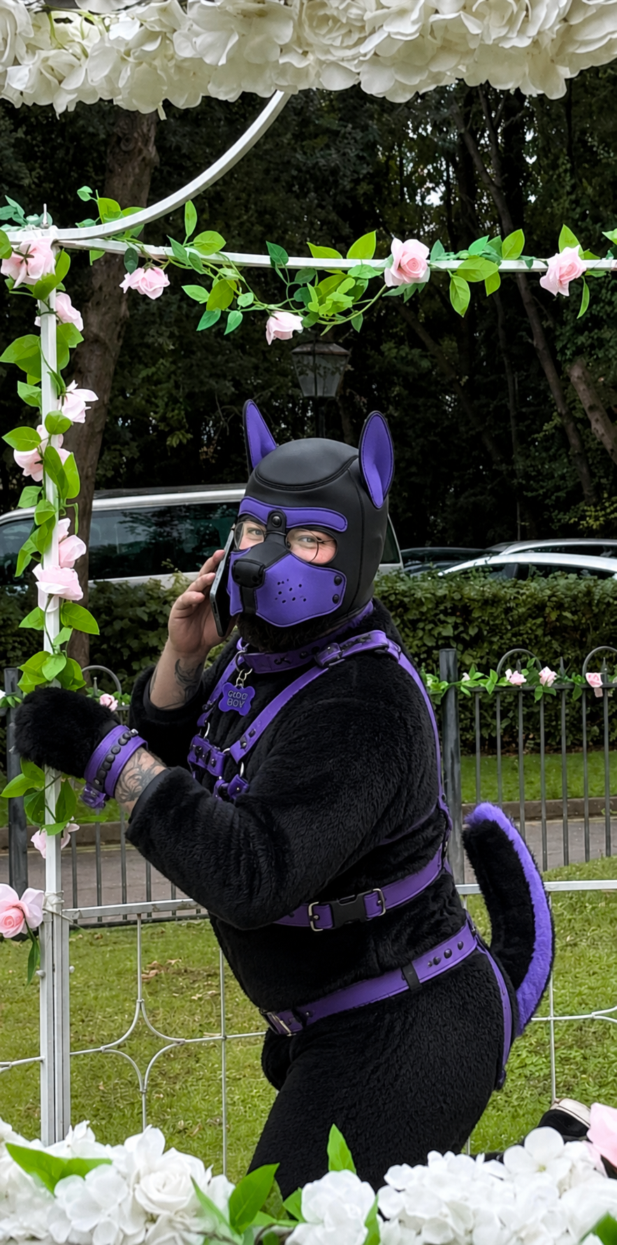 Fruity Boy - Furry Edition Blank Meme Template