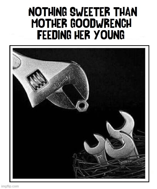 image tagged in wrench 06 mother jpg | made w/ Imgflip meme maker